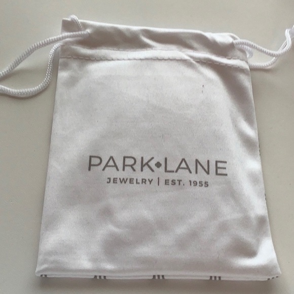 Park Lane Serendipity Earrings - Picture 8 of 9